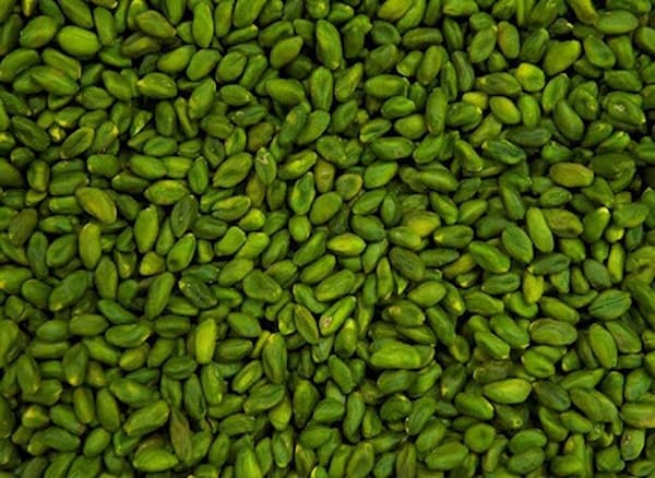 تصویر 1 از قیمت خرید پسته سبز رفسنجان با فروش عمده